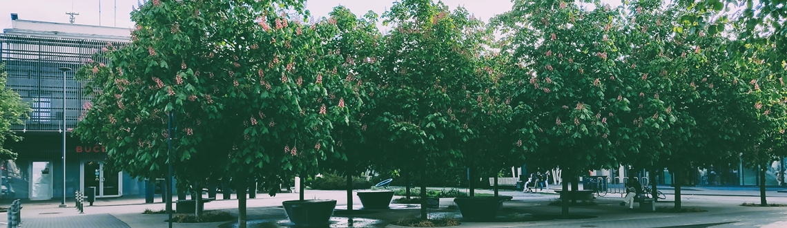 Osnovni termini klimatskih promjena, rješenja na bazi prirode i dekarbonizacije.